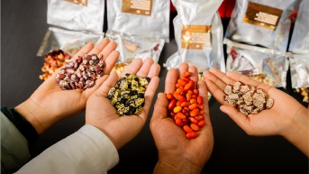 Imagen referencial de diferentes variedades de semillas en Ecuador. (Cortesía de INIAP)