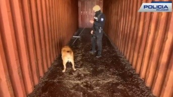 Agentes antinarcóticos decidieron realizar una inspección detallada de dos contenedores que recibieron una alerta positiva por parte de perros entrenados. (Policía Nacional)