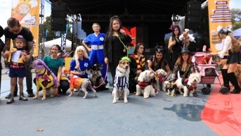 Perros y sus amos también participaron en un concurso de disfraces. (UBA)