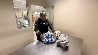 Imagen de la Policía Nacional con la incautación de cangrejos en el aeropuerto de Guayaquil. (Policía - Zona 8)