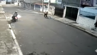 Momento del asalto a una ciudadana en el barrio El Edén. (Ecuavisa)