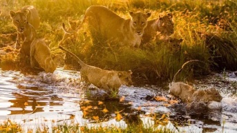 Imagen Ecuavisa (BBC STUDIOS)