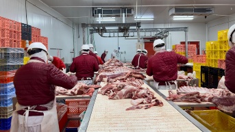 Los empleados de empresa de alimentos en Durán (Guayas). (Cortesía del Ministerio del Trabajo)