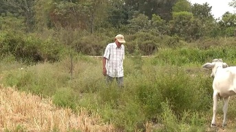 Captura de pantalla de Televistazo. (Televistazo)