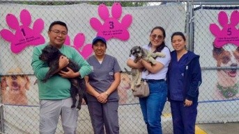 Una pareja adoptó a dos canes que eran golpeados por su antiguos tutores. (QuitoInforma)