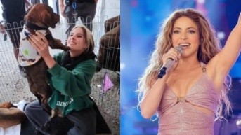 Una colaboradora de Shakira habría adoptado un perrito en Quito (Composición por Ecuavisa)
