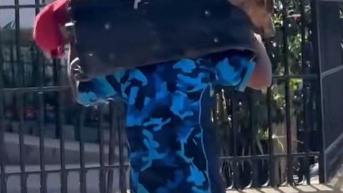 Ramón atrapado en una maleta (TikTok @rescates_amigoacasa)