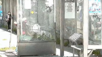 Mupis dañados en Quito (Televistazo)