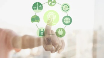 Compras digitales sostenibles (Internet)