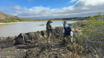 Clima en Isla San Cristóbal, Galápagos. (Cuenta X @parquegalapagos)