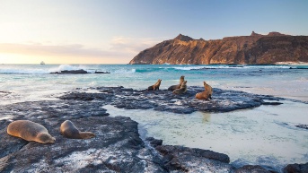 Isla San Cristóbal, Parque Nacional Galápagos. (Tomado del Ministerio de Turismo de Ecuador)