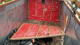 Centenares de explosivos escondidos en un camión. (Policía Nacional)