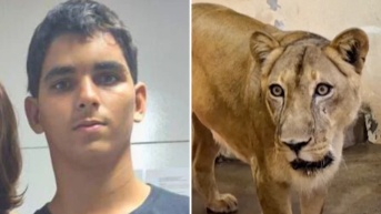 Gerson de Melo Machado murió tras ingresar en el recinto de los leones en un parpque natural de Brasil. (Cortesía/Parque Zoobotânico Arruda Câmara/AFP)