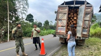 El decomiso de madera por parte de la Brigada de Caballería Blindada del Ejército.