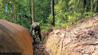 Imagen de militares (Televistazo)