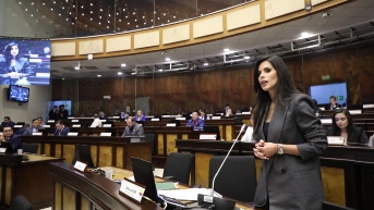 Diana Jácome, quien impulsa la reforma al COIP, en el Pleno de la Asamblea. (Flickr Asamblea)