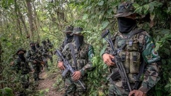 Se estima que un tercio de los 9 000 miembros del EGC actúan como un ejército que disputa el control territorial a otros grupos armados en Colombia. (BBC News Mundo)