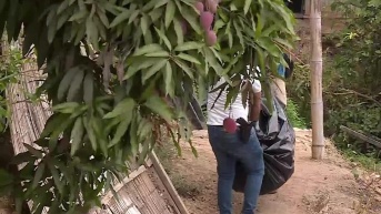 Imagen de un cuerpo descuartizado siendo sacado de un saco. (Televistazo)