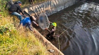 Equipos de rescate acudieron al sitio, pero solo pudieron recuperar los cuerpos. (Cortesía)