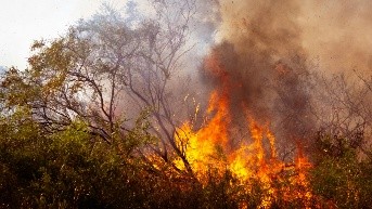 Pexels- incendio contaminación ambiental