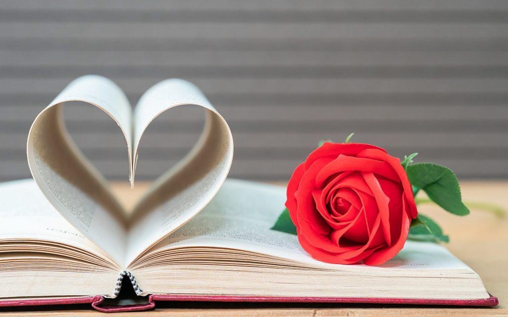 Fotografía de un libro con unas páginas en forma de corazón y una rosa roja. (Internet)
