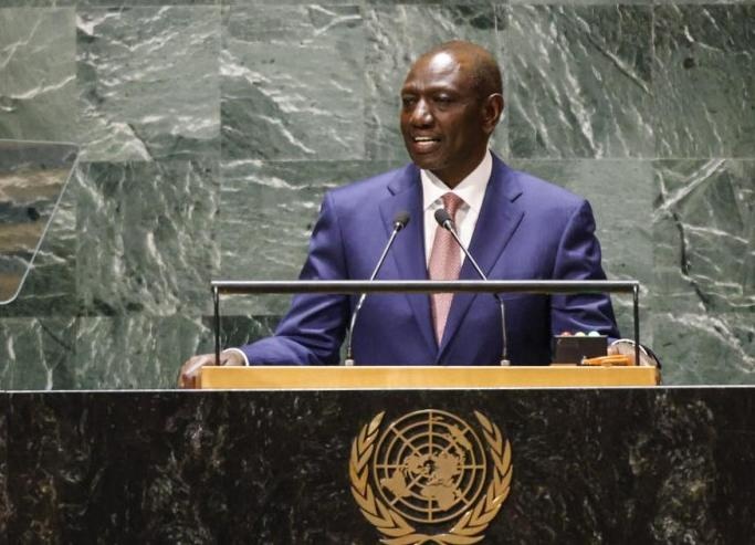 Naciones Unidas  (Internet )