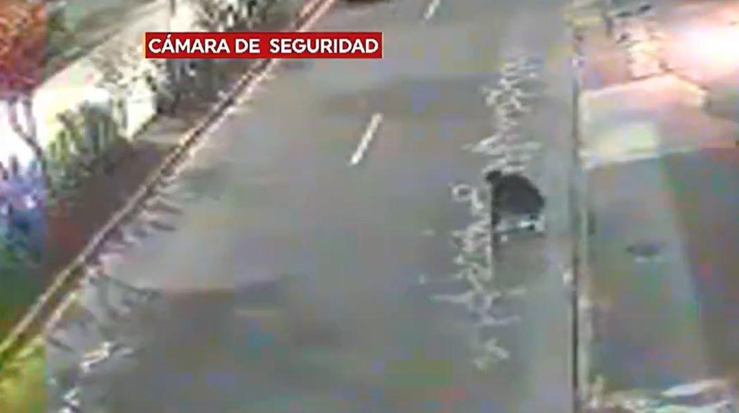 Estudiante universitario cayó sobre la vía. (Televistazo)