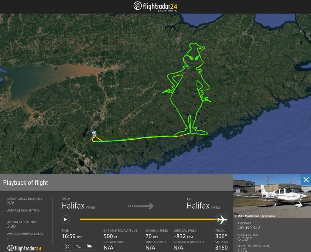 Dibujo del Grinch del piloto Neonakis. (Flightradar24)