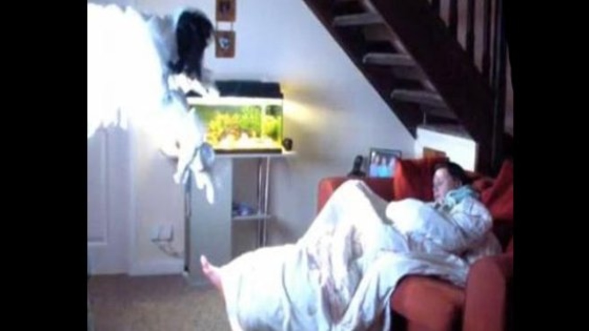 Video: Terrorífica broma de la mujer que sale del televisor