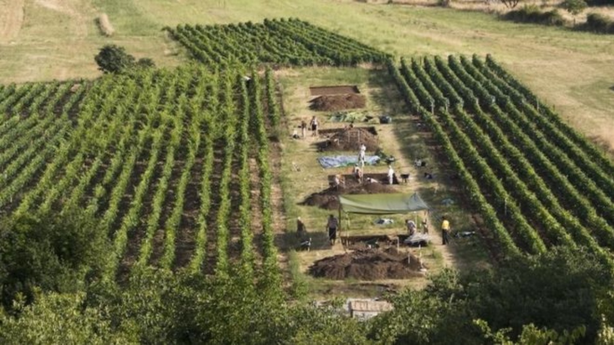 El hallazgo se realizó en la costa croata.
