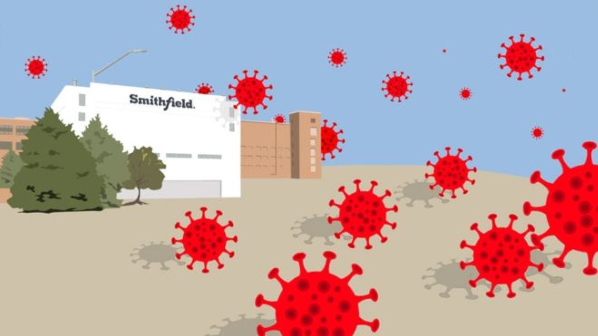 Con 3.700 trabajadores, Smithfield es el lugar donde surgió el mayor brote de coronavirus en Estados Unidos.