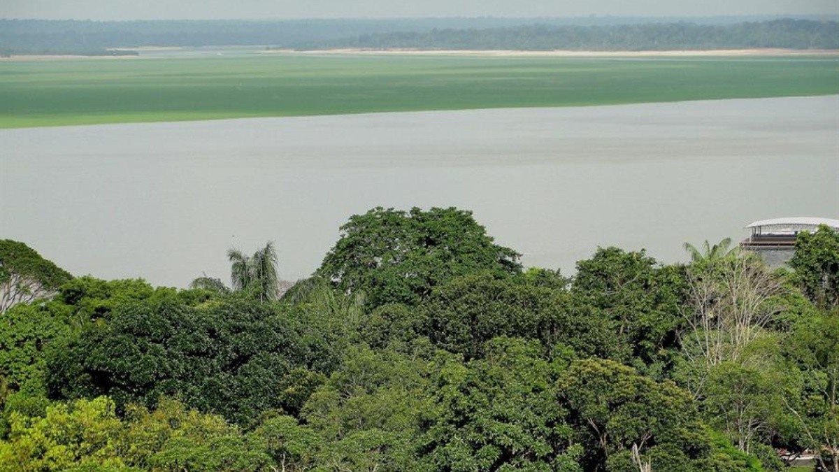 La iniciativa se desarrollará en conjunto con la Fundación EcoCiencia. Foto:EFE