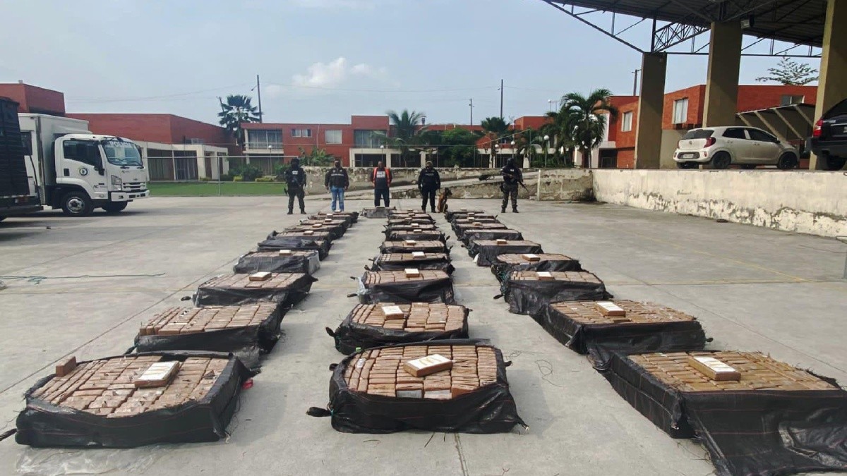 Las fuerzas del orden señalaron que hallaron 2.461 paquetes rectangulares con el alcaloide. (API)
