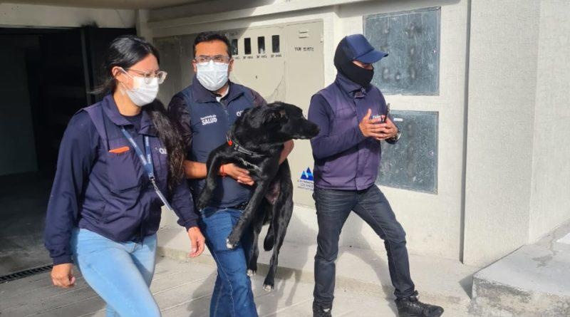 Imagen Ecuavisa (AM)