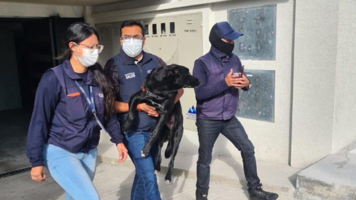 Imagen Ecuavisa (AM)