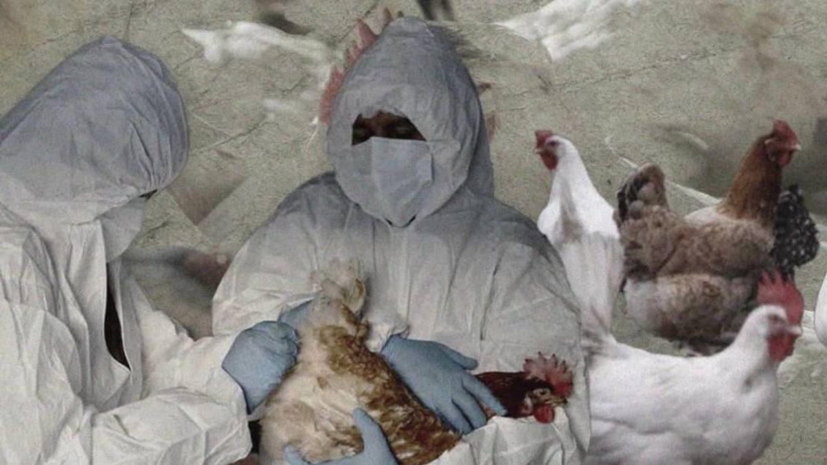 Imagen Ecuavisa (Franklin Navarro / Ecuavisa)