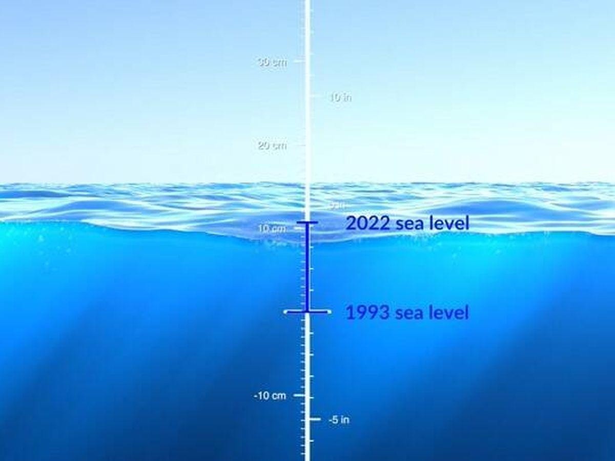 Las imágenes muestran cómo de forma gradual el nivel del mar ha subido. (NASA)