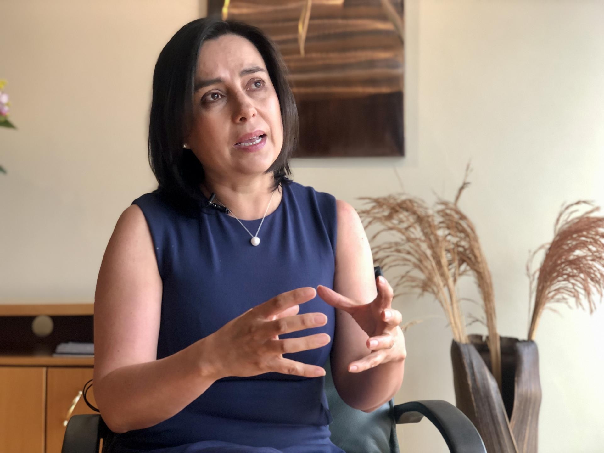 La presidenta de la Cámara de Minería del Ecuador (CME), María Eulalia Silva, habla durante una entrevista. (EFE)