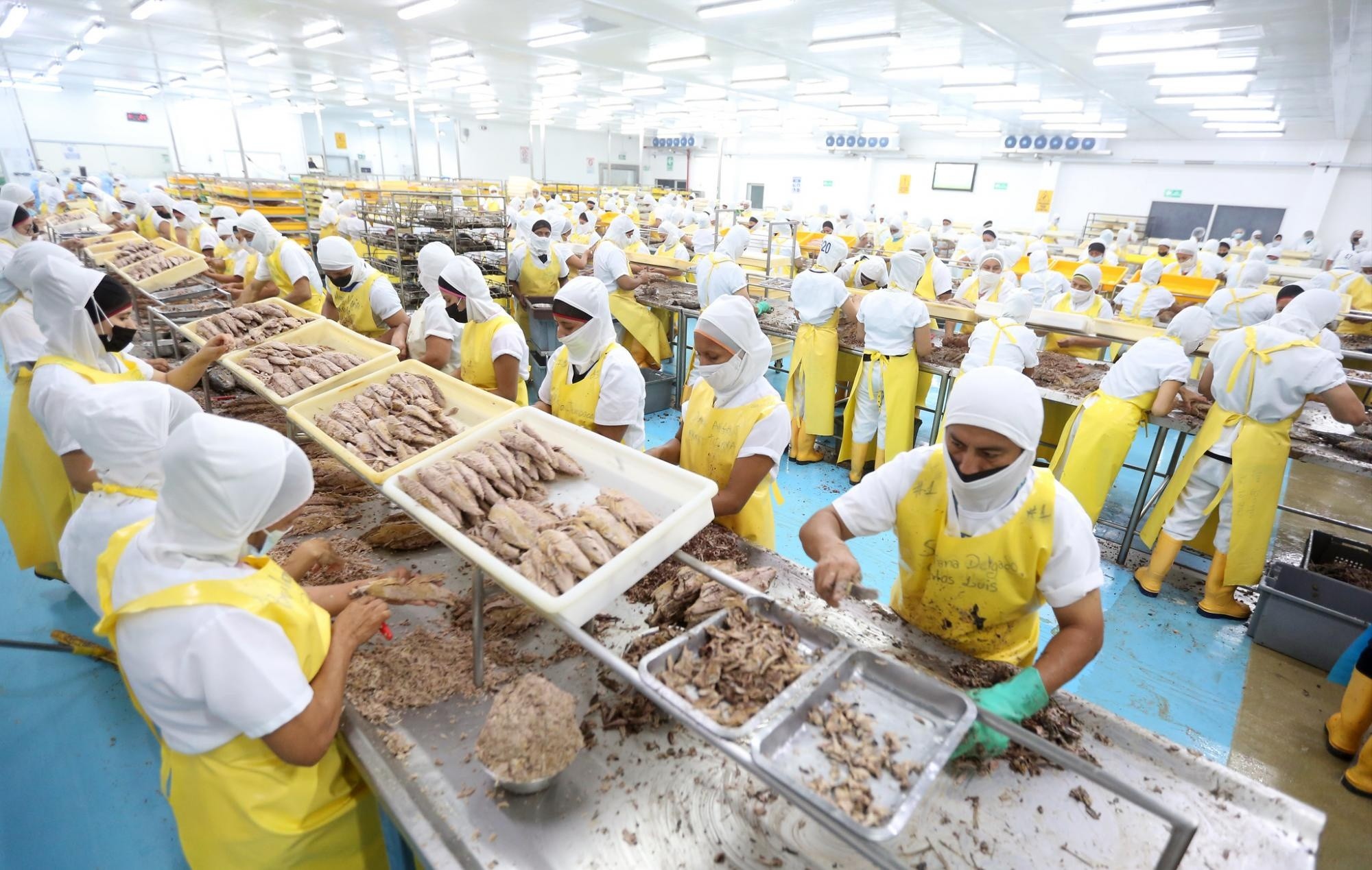 Trabajadores de una empresa en sus actividades. (Flickr Presidencia)