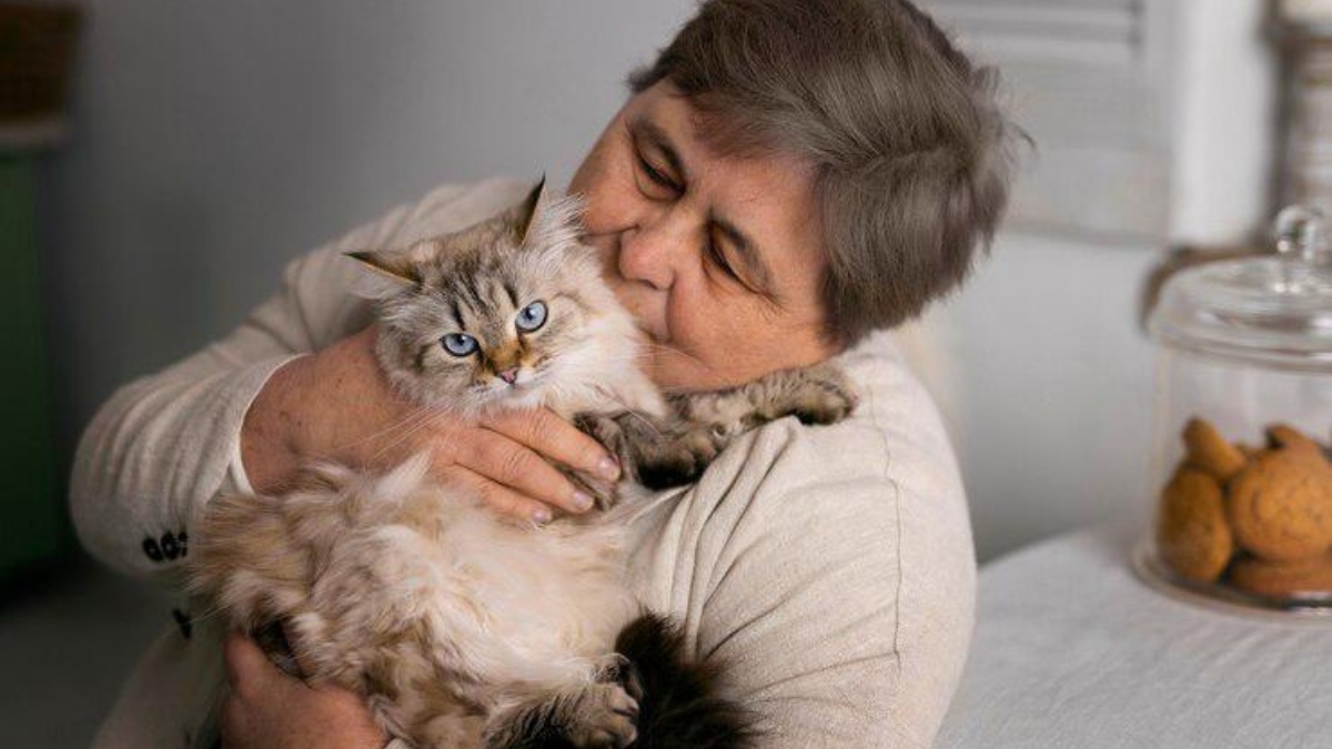 Imagen de referencia. (Freepik)