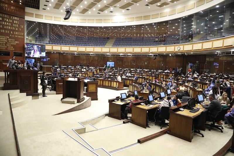 La asambleísta Dallyana Passailaigue pidió posponer el debate para coordinar la asistencia de los familiares de las víctimas (Asamblea)