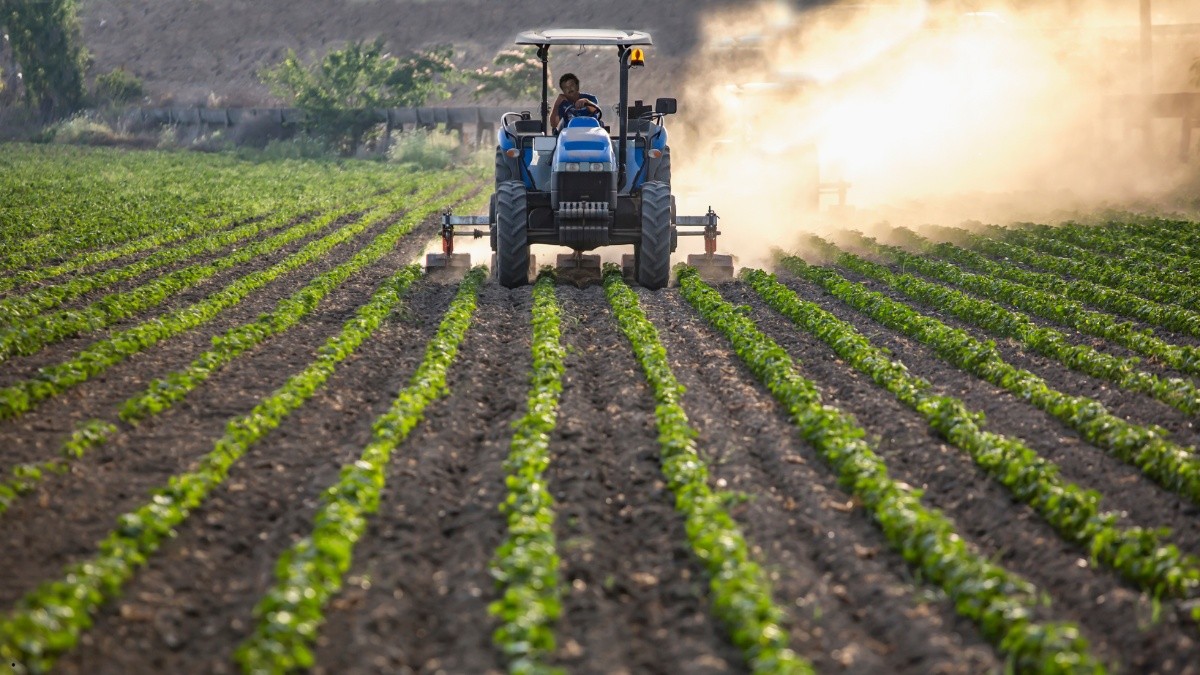 Imagen referencial de actividades agrícolas, que en Ecuador representan el 40 % del total de exportaciones. (Canva)