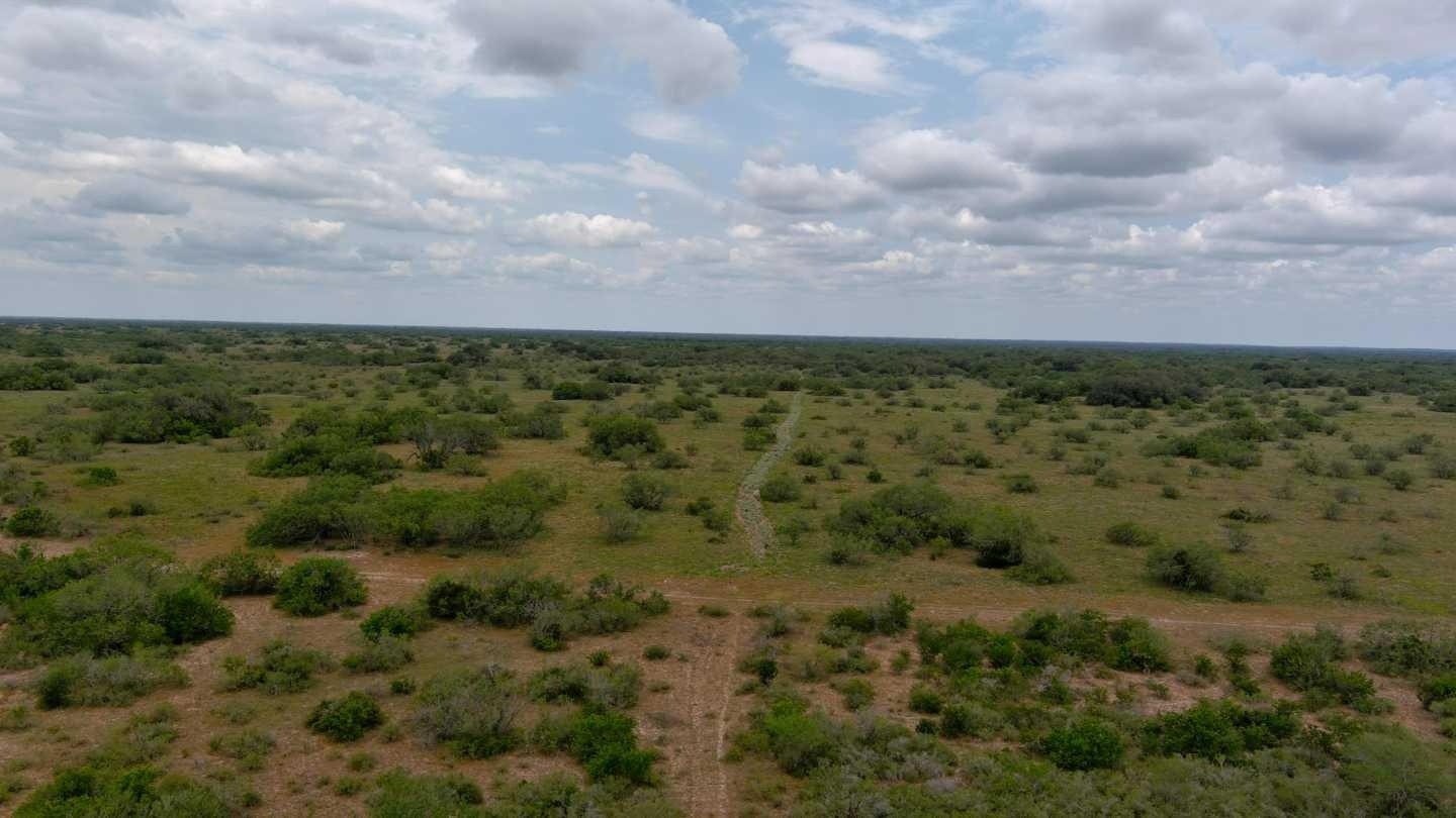 El condado de Brooks está a solo 100 metros sobre el nivel del mar, por lo que hay mucha arena en este desierto y maleza. Hay muchos arbustos y espinas. También hay mucha vida salvaje, serpientes, cerdos ferales. (Ecuavisa)
