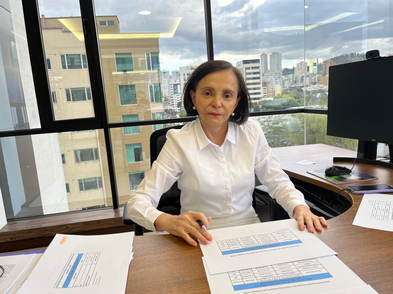 Ana Delgado, directora ejecutiva de Achpe, en su oficina durante la entrevista con Ecuavisa.com. (Diego Bravo C. / Ecuavisa)