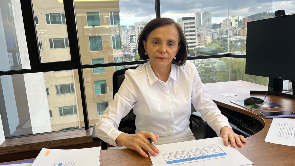 Ana Delgado, directora ejecutiva de Achpe, en su oficina durante la entrevista con Ecuavisa.com. (Diego Bravo C. / Ecuavisa)