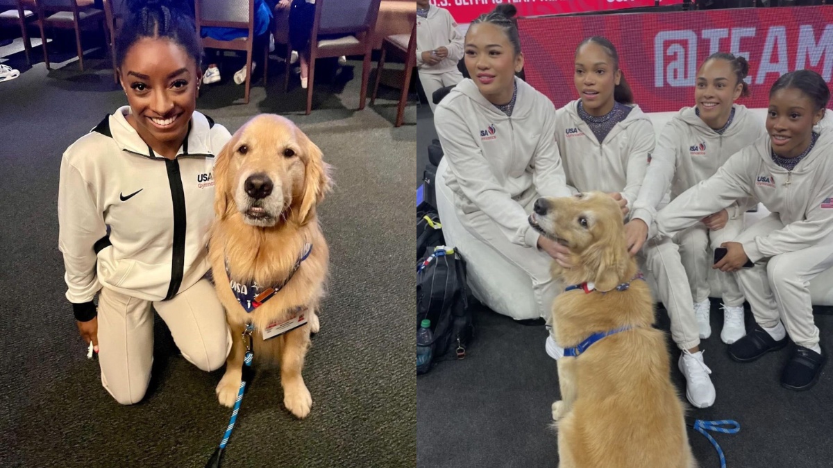 Beacon, un golden de 4 años junto al equipo de gimnasia de Estados Unidos. (Foto: Internet)