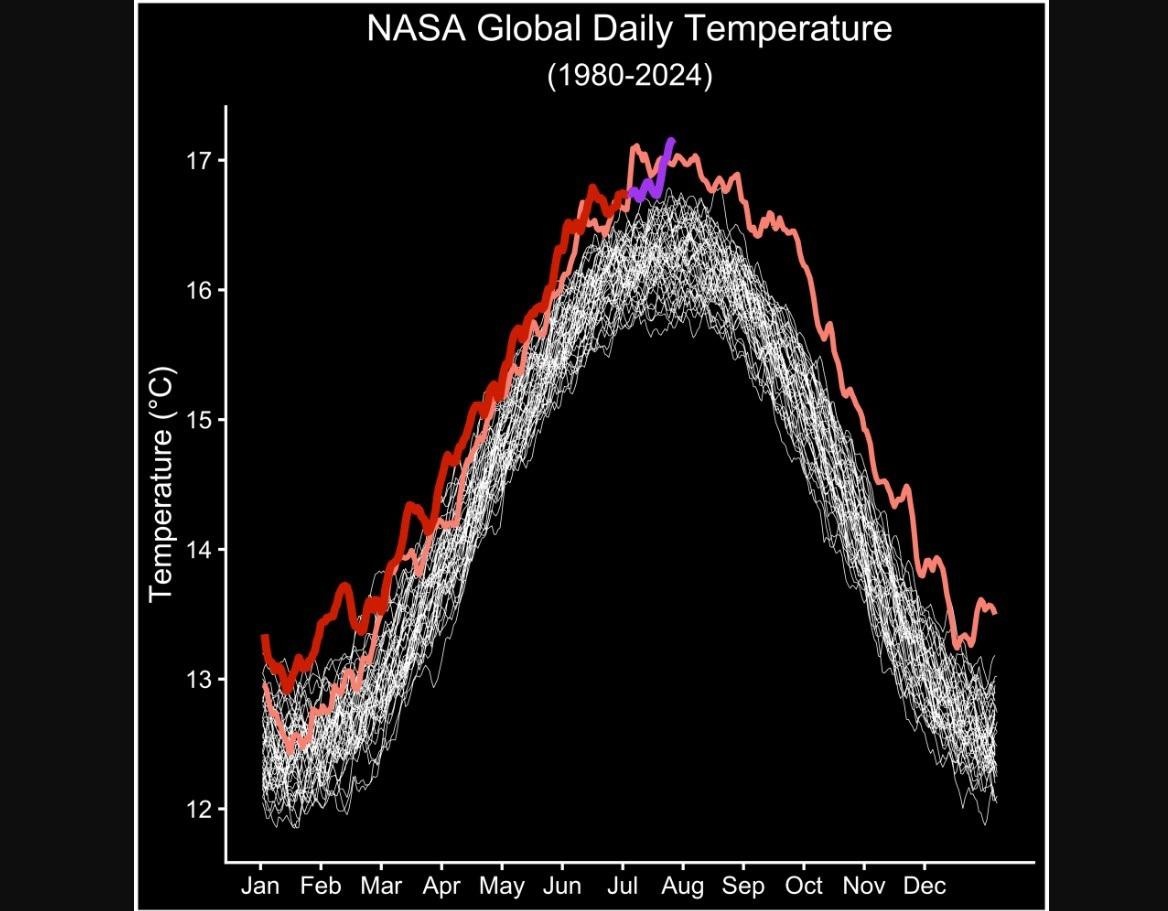 Los valores diarios de temperatura global del 1 al 23 de julio de 2024, de GEOS-FP se muestran en violeta. (NASA/GLOBAL MODELING AND ASSIMILATION OFFICE/PETER / NASA/GLOBAL MODELING AND ASSIMILATION OFFICE/PETER)