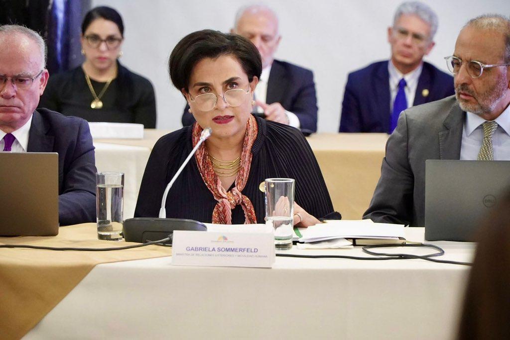 Gabriela Sommerfeld durante la presentación de la prueba documental y audiovisual en el marco de la sustanciación del juicio político en la Comisión de Fiscalización y Control Político de la Asamblea Nacional. (Cancillería)