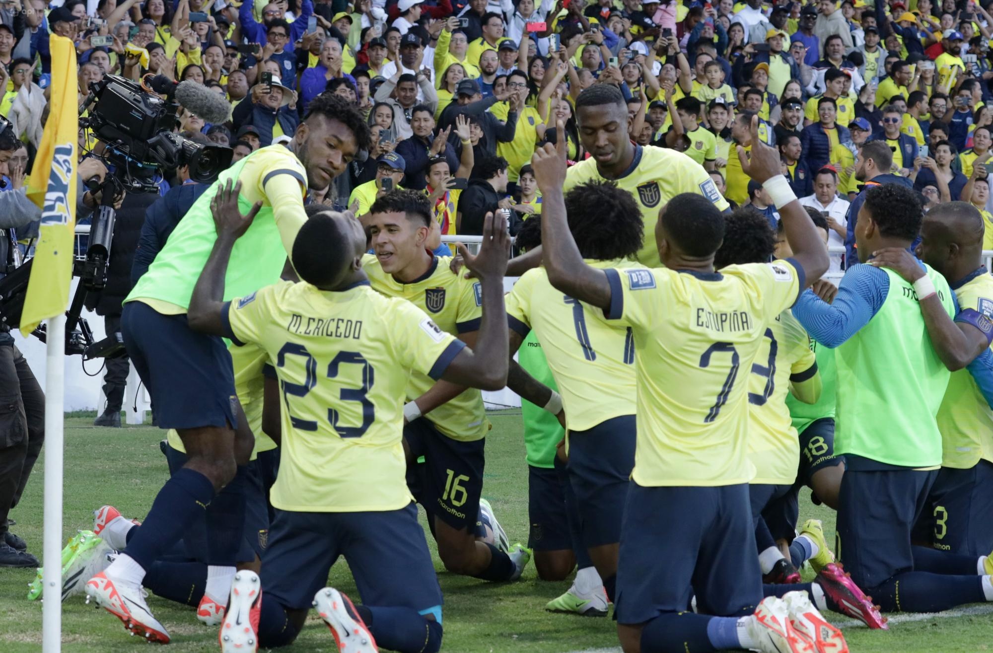 La FEF publicó los precios de las entradas para el partido entre Ecuador y Perú por las eliminatorias al Mundial 2026. (API)