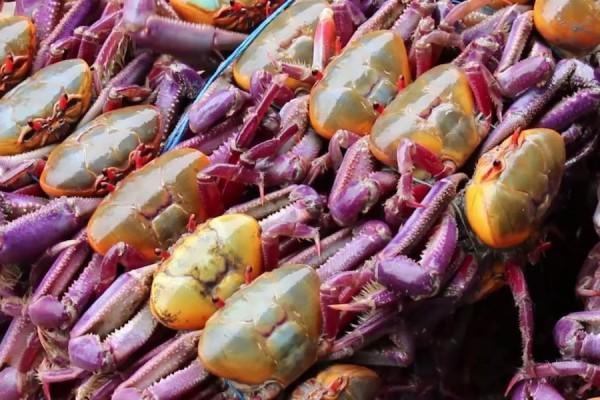 Imagen referencial. (Internet)